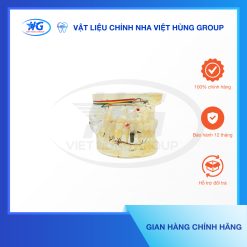 Mẫu hàm Implant