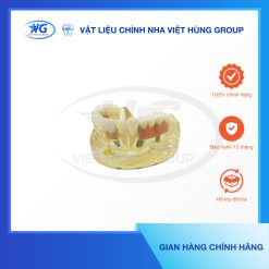 Mẫu hàm Implant