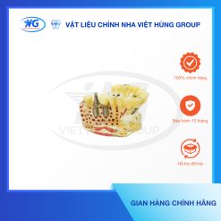 Mẫu Hàm Implant