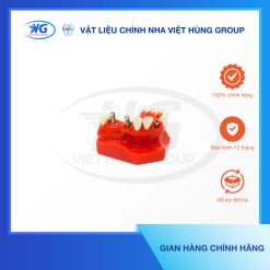 Mẫu hàm tư vấn