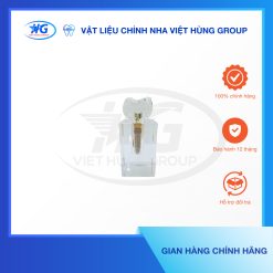 mẫu hàm Implant