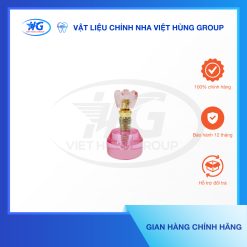 mẫu hàm tư vấn