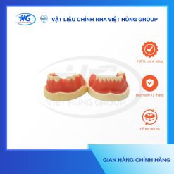 Mẫu hàm Implant