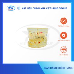 Mẫu Hàm Tư Vấn