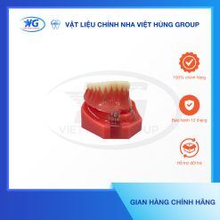 Mẫu Hàm Implant