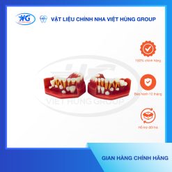 Mẫu hàm tư vấn