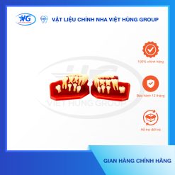 Mẫu Hàm Tư Vấn