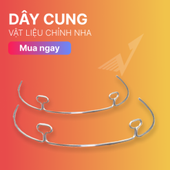 Dây Cung Chỉnh Nha