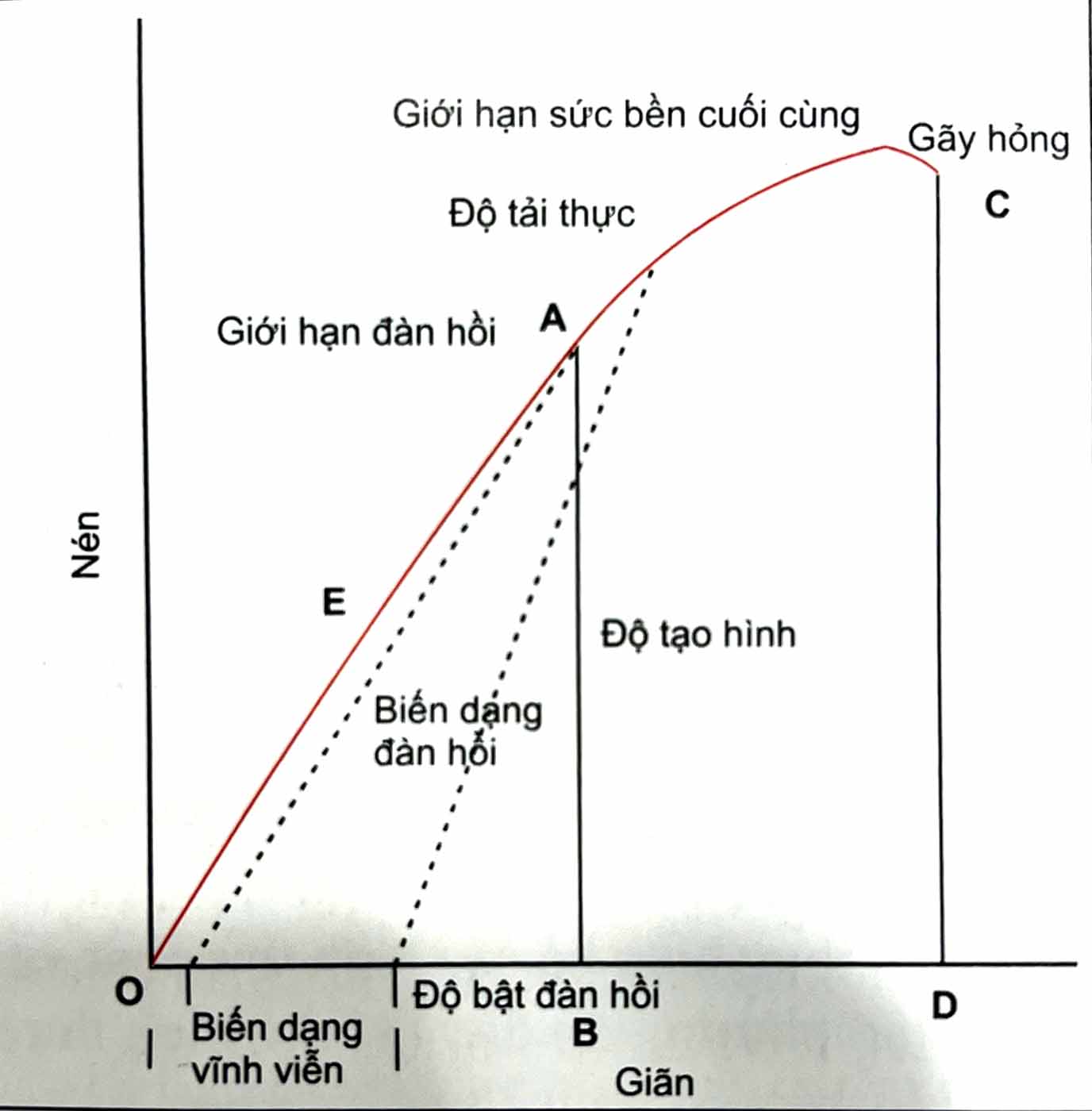 Đồ thị nén - giãn của dây cung (vật liệu chỉnh nha) dưới tác dụng của lực