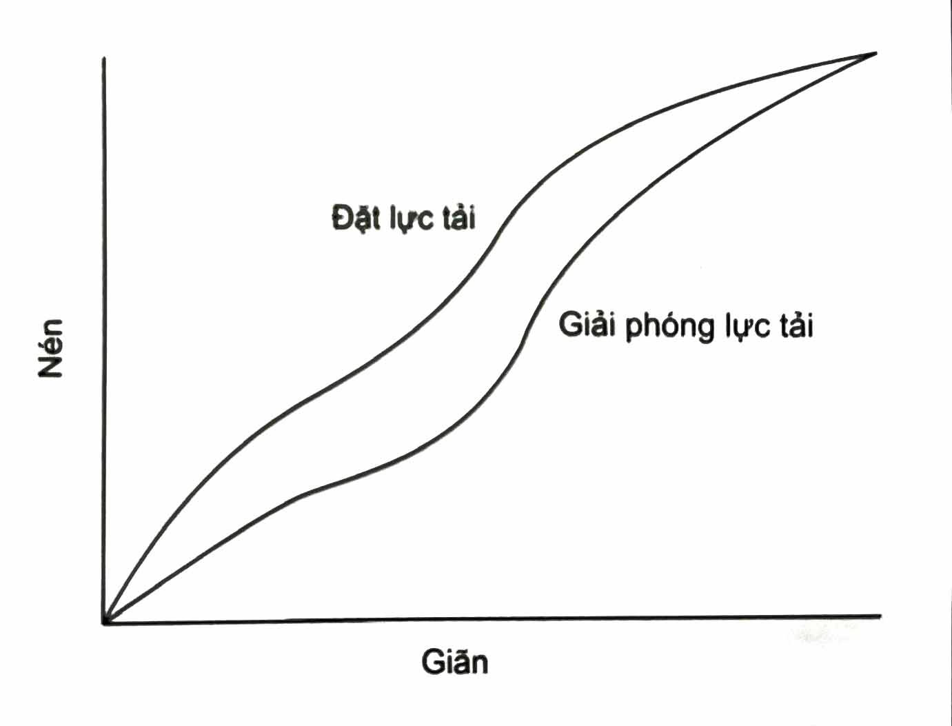 Khi dây cung chỉnh nha siêu đàn hồi được kích hoạt